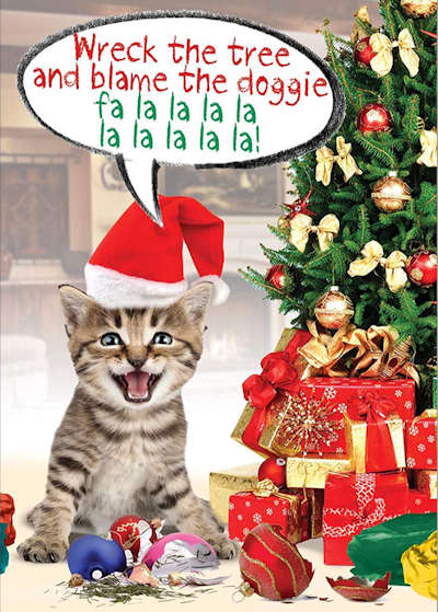 Naughty Kitty Christmas Cards