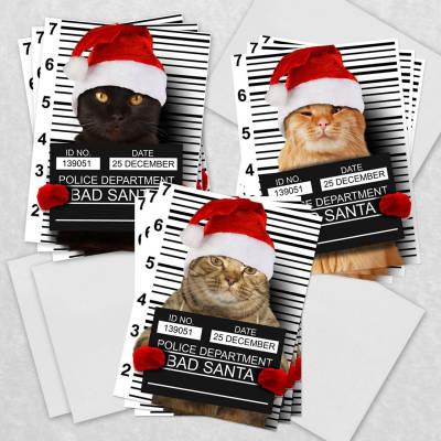 Bad Santa Cat Christmas Cards Made in the USA