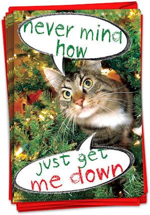 Funny Made in USA Cat Themed Christmas Cards