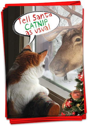 Tell Santa Catnip As Usual Christmas Card Made in USA