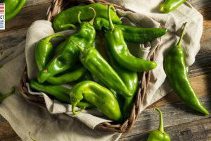 Hatch Chiles Tabletop Chile Roaster