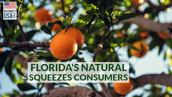 Florida s Natural No Longer Uses 100 Florida Oranges BuyDirectUSA florida-s-natural-no-longer-uses-100-florida-oranges-buydirectusa