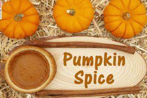11 Pumpkin Spice Foods for Fall