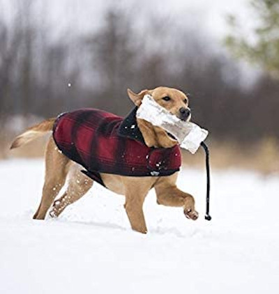 Dog Coat for Winter Made in USA