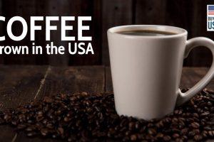 Coffee Grown in the USA
