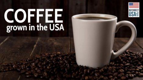 Coffee Grown in the USA