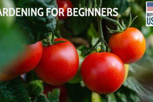 Home Gardening Tips for Beginners