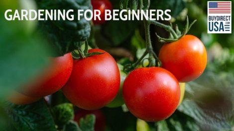 Home Gardening Tips for Beginners