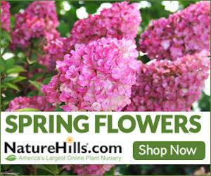 spring-flowers-shop.jpg