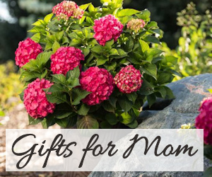 Nature Hills Nursery Mothers Day Gifts